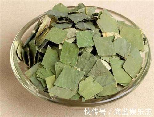 荷葉水|辟謠減肥人常用荷葉泡水喝，可以刮脂瘦身15內能瘦好幾斤