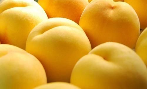 皮膚|聰明女性都在吃以下食物，排毒減肥，防止皮膚色素沉著