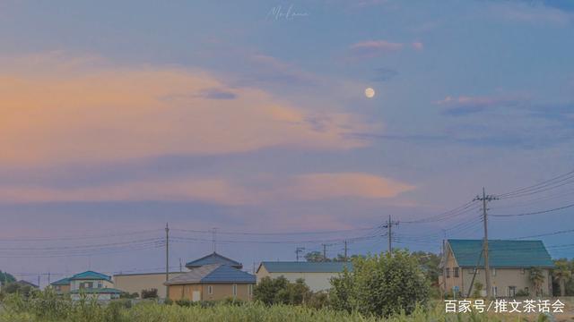 以后少吃鱼$推文茶话会|男主是醋王的文推荐 强推《以后少吃鱼》真的好看