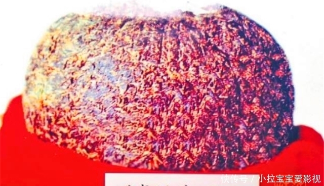 茶叶|小茶叶也能加工成大美学,清朝“茶叶之美”为何能盛行?