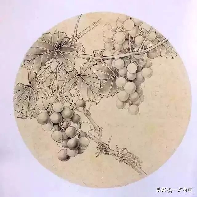 工笔#《葡萄秋蝉图》工笔绘制步骤