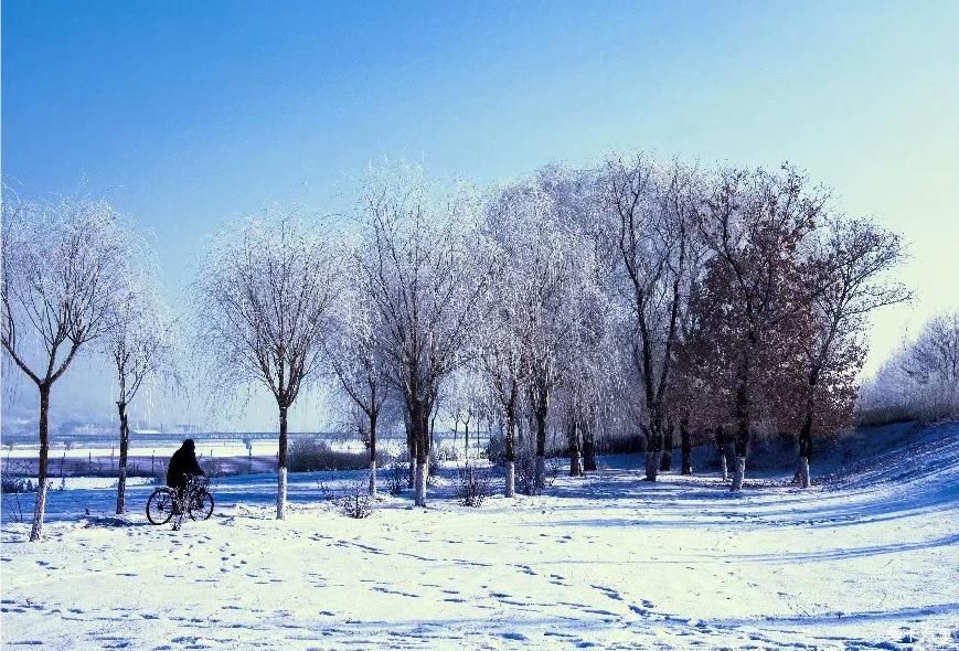 一场雪后惊艳了大抚顺