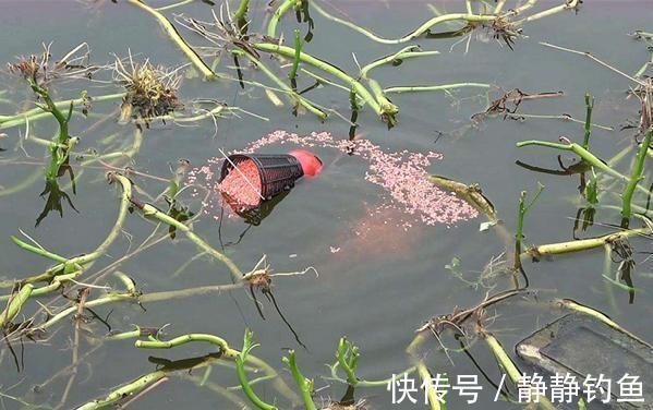 冬天太冷,鱼不好找?庆幸老钓手透露这几招,上鱼速度那叫一个快