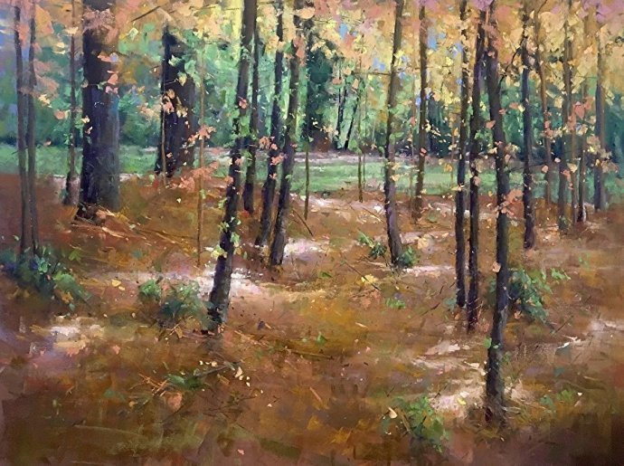 阿奎尔$美国艺术家阿奎尔柔和的风景油画,画里充满了阳光温馨美好(二)