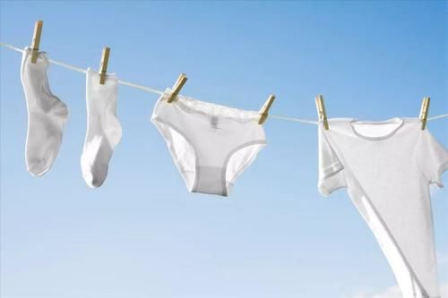 内裤和袜子到底能不能一起洗？究竟谁更脏？