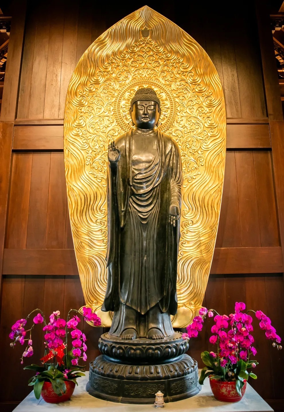 爱别离|梦参老和尚丨千万别求舒服,太舒服了不长寿