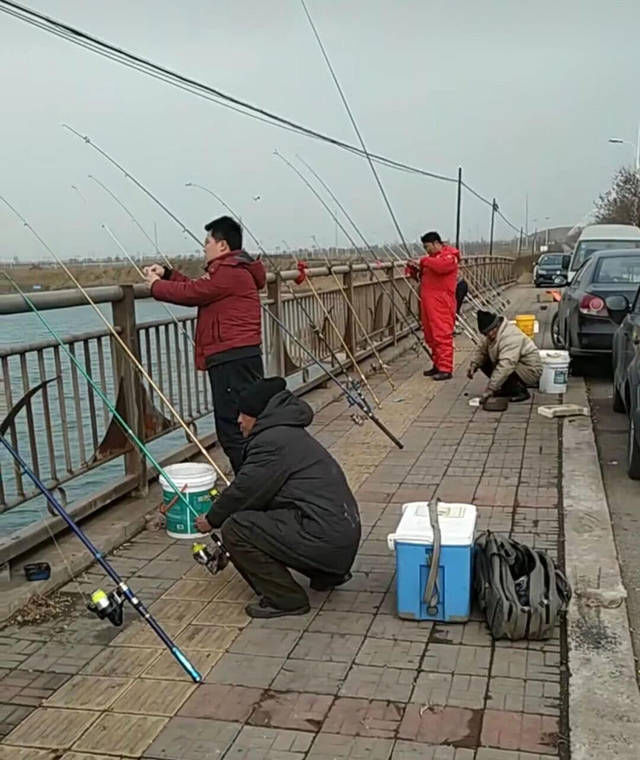 城里的钓鱼人有多疯狂,桥上排水孔里钓鱼,最多一天钓5斤