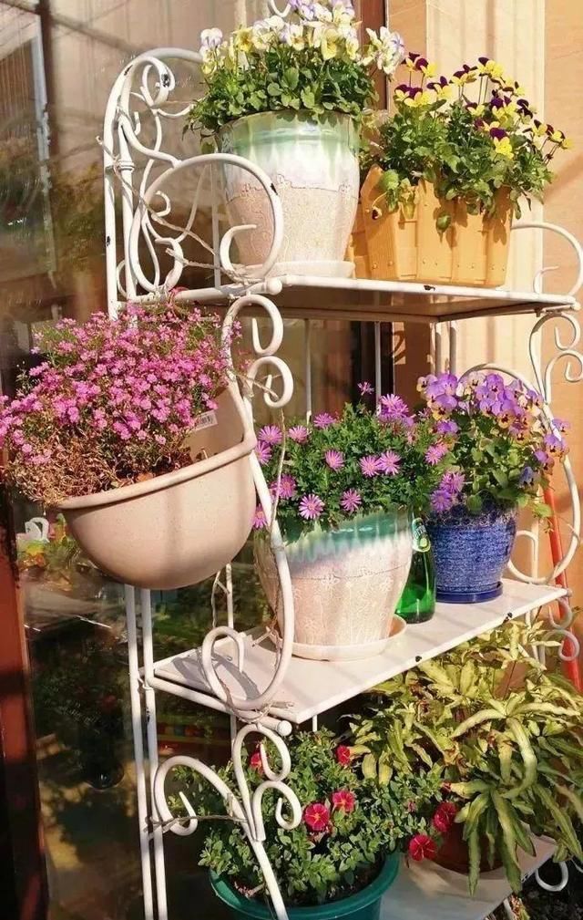 养花占地方？阳台支个架，再养10盆也不挤！