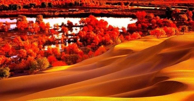 沙漠|伫立于沙漠中的千年古城，与世隔绝，近千年来几乎无人知晓