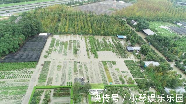 植物|12年搬家13次,43岁的她终于送给女儿3000平米超大花园