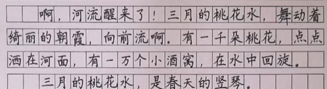 家长晒四年级学霸的抄写作业，字迹堪比“教科书”，老师赞叹不已