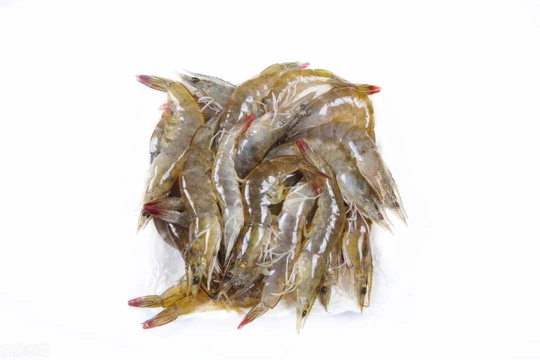 钓友|冬季钓鲫鱼什么饵料好?这3种饵料试试看,冬季钓鲫鱼效果不错