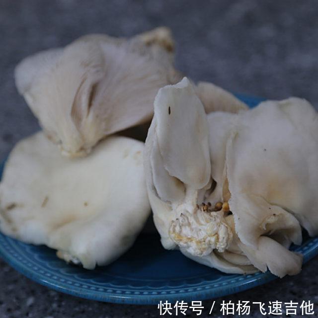 面糊|干炸蘑菇,香酥美味,下酒好菜