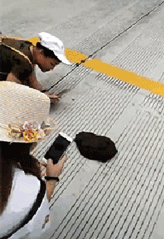 |搞笑GIF段子:等我有了钱,我也这样走路