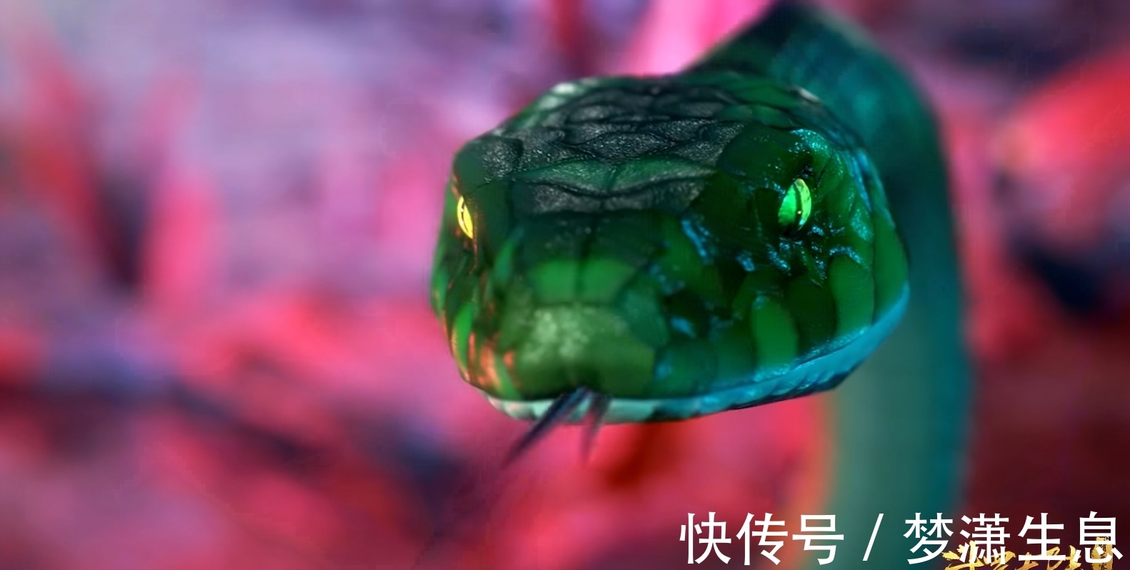 独孤博|斗罗大陆:唐三究竟解过多少种毒?除了蛇毒,还有这5种