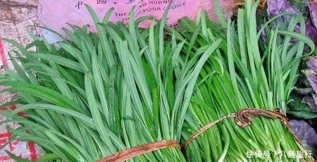 农村|五月春季农村吃这些野菜,具有降低血压,增进食欲,利尿的功效!