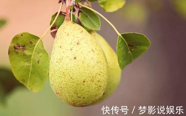 葡萄籽|家里4样水果一定要常买!活血降压、防癌,全是“大病克星”