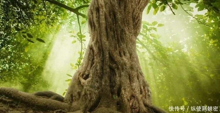 富秀才|“一人不进庙,二人不看井”何解?其实还有第三句,道理更深刻