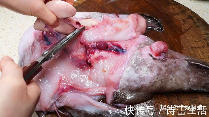 鱼肉|入秋后,遇到此鱼别不懂吃,营养极高,女性要多吃,炖豆腐吃最香