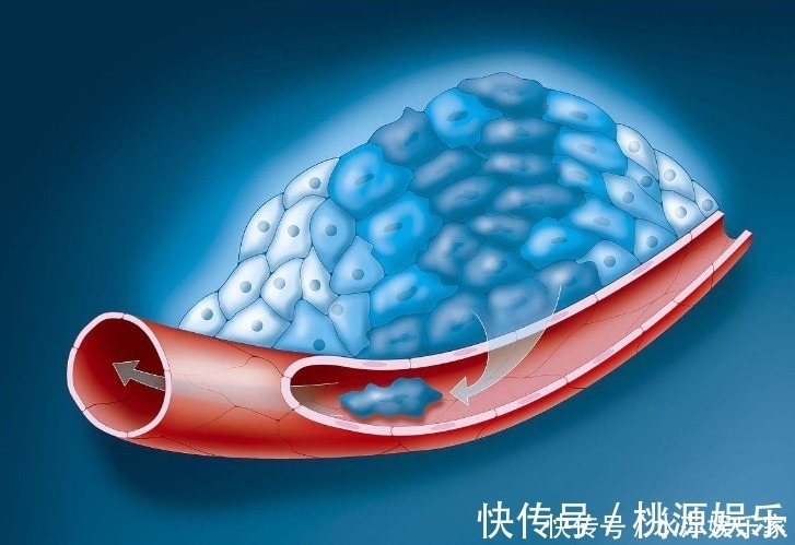 百岁老人|红薯、山药靠边站,它才是地下宝物!百岁老人都在用的长寿秘方!