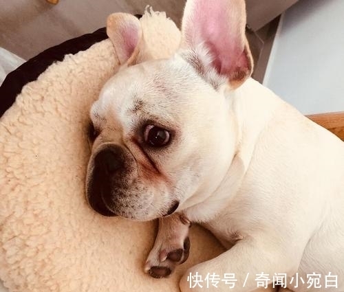 20条冷知识,奇怪又有趣,最后一条,我发现了工作的奥秘了