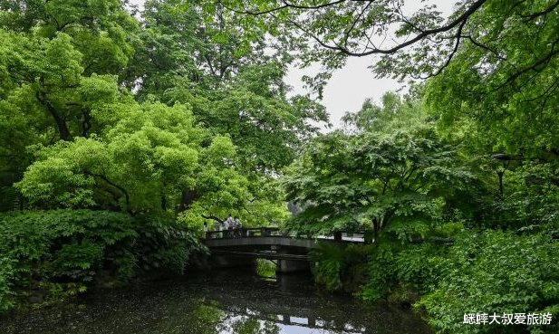 杭州雷峰塔边有个养生景点，杨柳吐翠，美景连片，一片春意盎然！