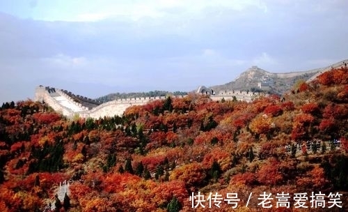 旅行胜地|北京一秋季旅行胜地，斑斓彩林宛如油画般美丽，人少景美适合郊游