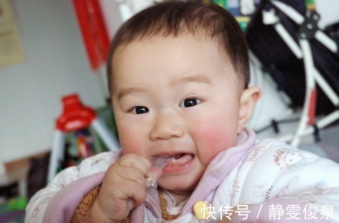 辅食|宝宝满6个月后,这种食物要及时添加,过早伤脾胃,过晚营养不良