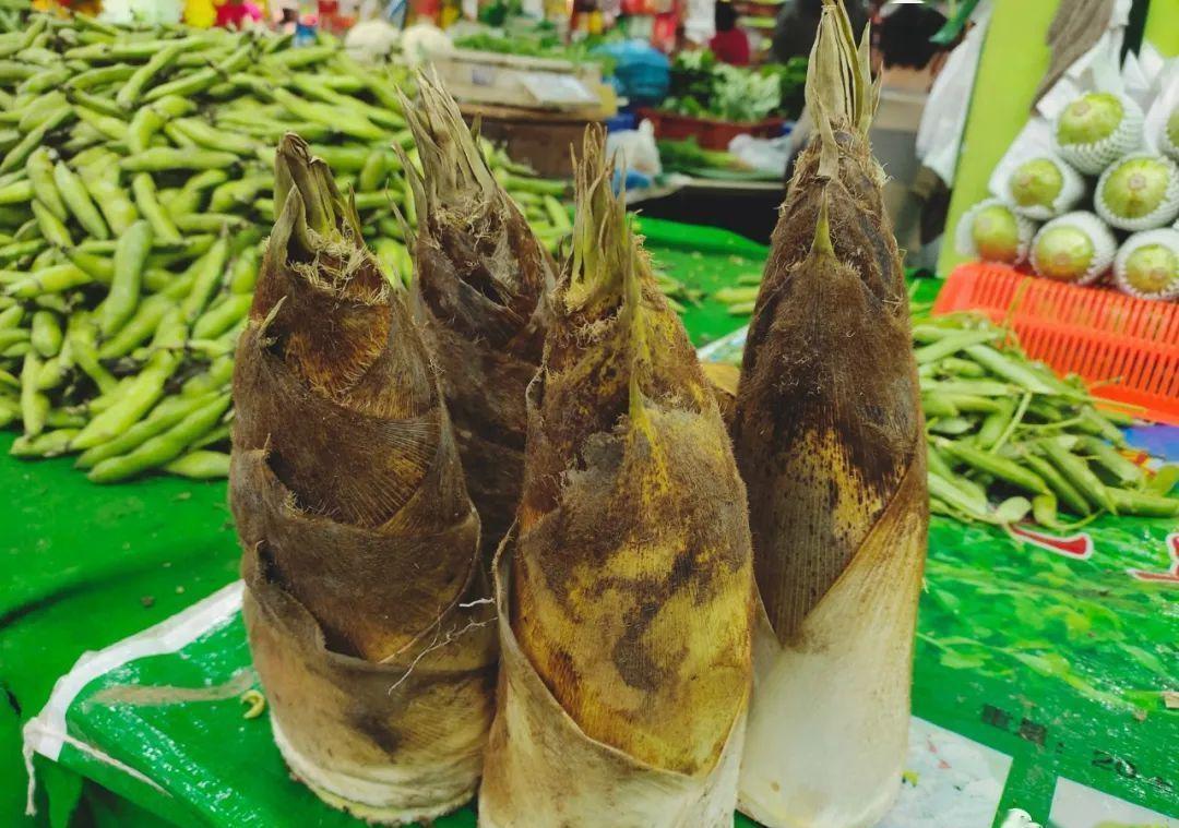 烹饪方法|买笋时,“矮胖”的好还是“细长”的好?别傻傻不懂,花冤枉钱