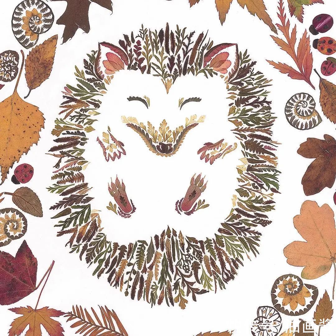 艺术作品&她画画的材料是花瓣,工具是把刀,直接用刀刻出画