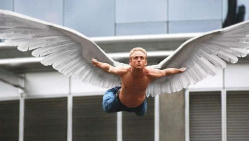 如果人类要像鸟一样飞翔,需要多大的翅膀呢?