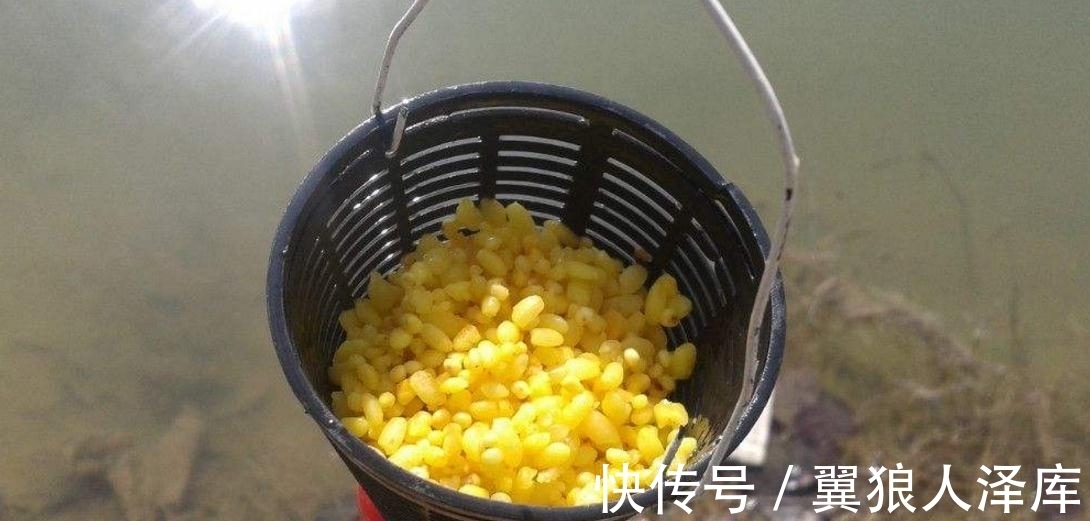 渔课堂|冬季钓鱼时,为啥有人打重窝有人打小窝?谁对?正确方法我来教你