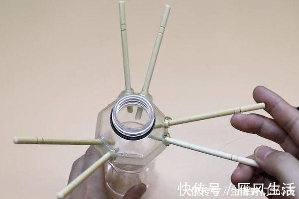 小窍门|塑料瓶上插几根筷子,放在家里好看又实用,赶快动手做一个吧!