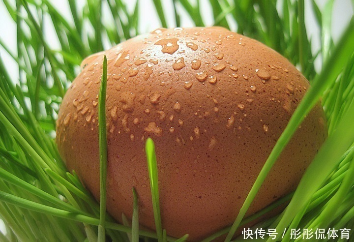 土鸡蛋|买鸡蛋时,红壳好还是白壳营养师讲完后,很多人都买错了