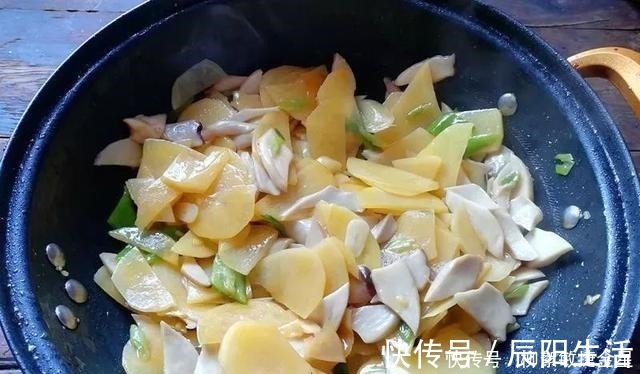 杏鲍菇|土豆和它是完美搭配,增香又增味,常做给小孩吃,提高免疫力