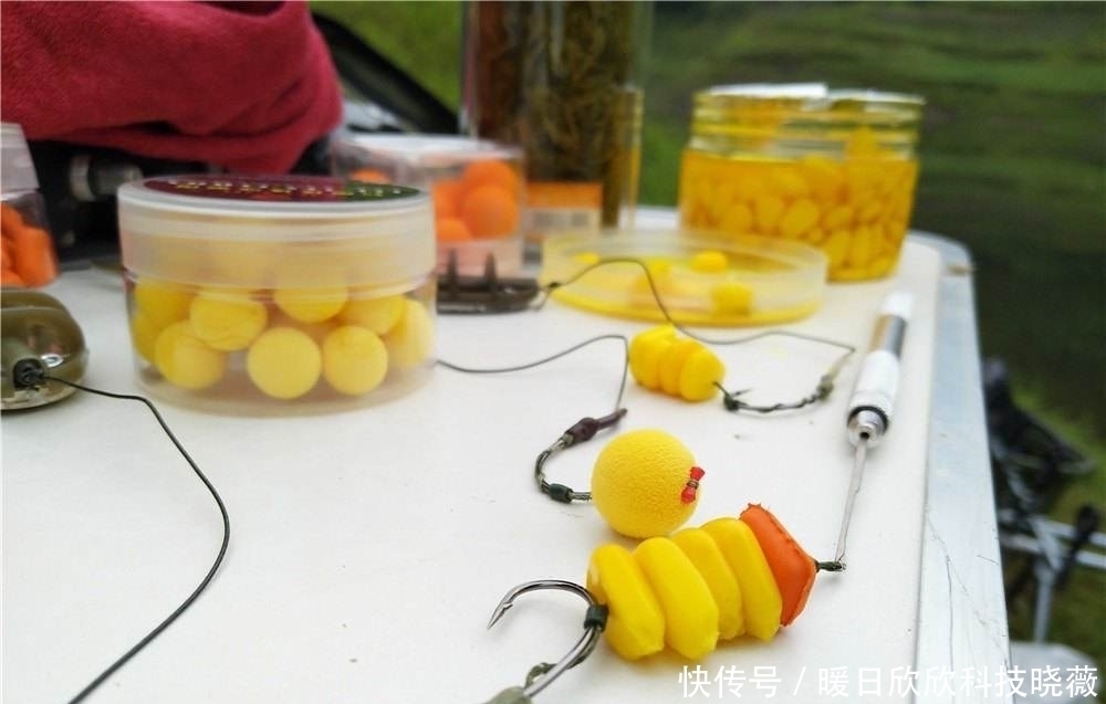 钓鱼|小杂鱼闹窝浮漂信号乱，钓鱼新手很头疼，其实解决办法很简单