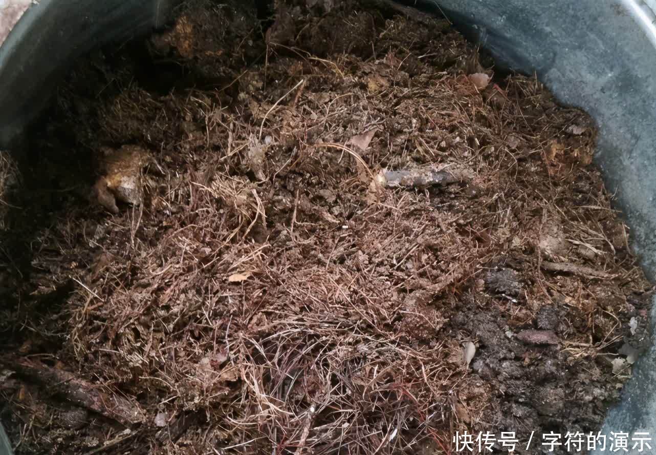 花土|养花选土,注意这些小事情,新人秒变老手,养啥旺啥