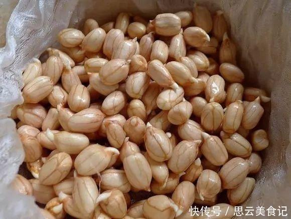 发芽“花生”扔水里,几天长成“含羞草”,越养越有惊喜
