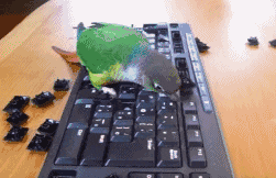 趣图|搞笑GIF趣图:姑娘是失恋了吗?你这样做不值得,好男人多的是!