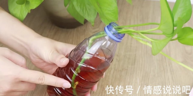 家里有红糖的注意了，这3个妙用花钱都买不到，赶紧试试，涨知识！