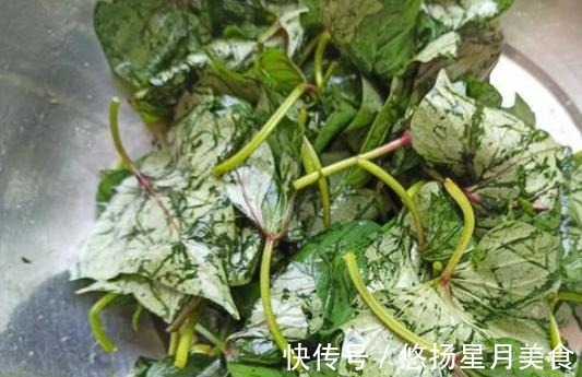 小把儿|这个菜你认识吗它的作用功效太多了，做法简单还好吃哟！