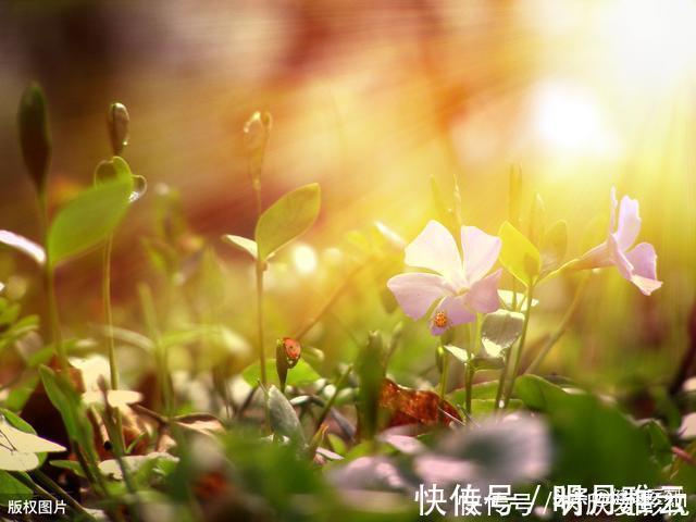 误区|曝光：坑惨中国人的5个养生误区！你以为在养生，其实是在折寿