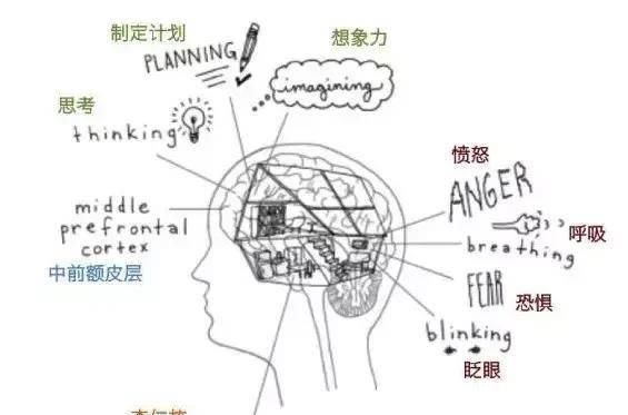 r美国最新大脑研究:这3个“立规矩”的方法针对孩子犯错最有效!