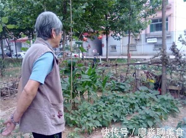 齐女士|为啥孩子长大不愿意去姥姥家了?不怪孩子“白眼狼”,原因很真实