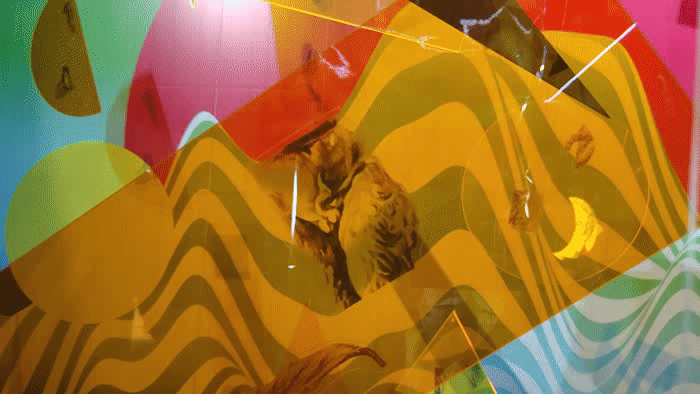 云朵$年节已过,新年第一场艺术展就决定来这里了!