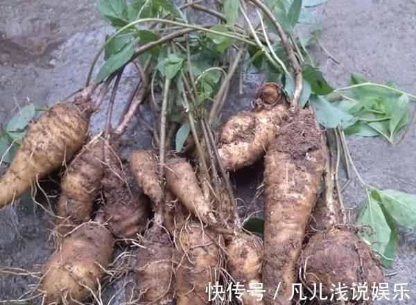 菠菜|子宫不好的女人,在月经期间常喝3种汤,子宫悄悄变好