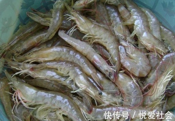 口感|做水煮虾,用热水下锅还是冷水?关键一步做错,难怪虾又老又腥!