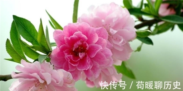 汉武帝!李商隐碧桃二首,遇见一个人,牵起前生今世