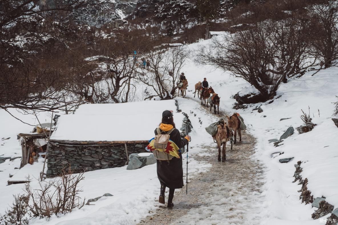 自驾游 打卡秘境 路过你的天空 欣赏冰川湖泊 森林雪山风景美