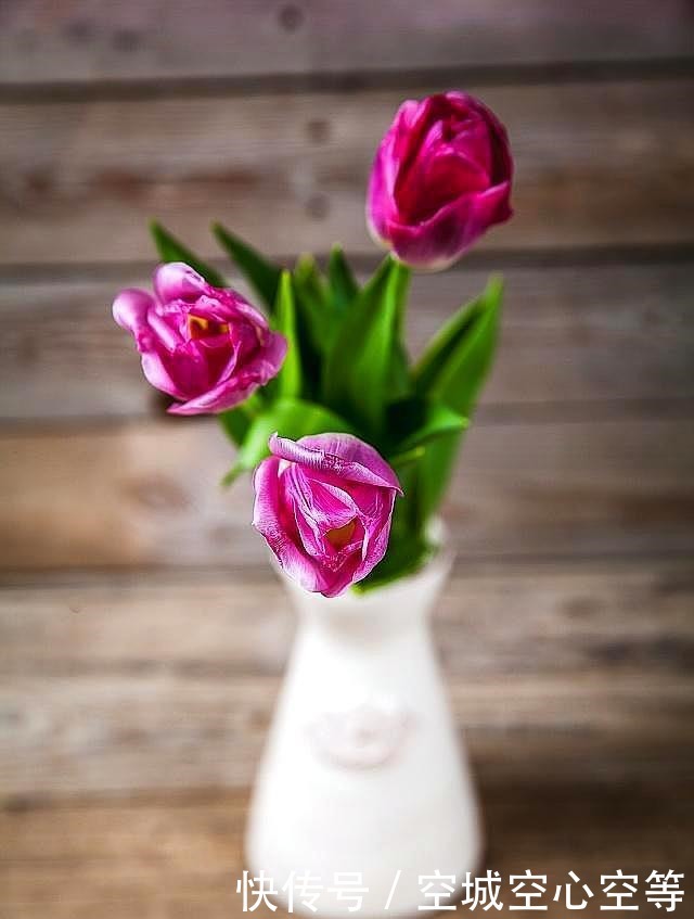 人生|一个大气的人,都有这五个大的人生格局